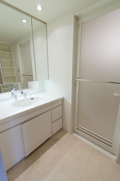 Wash basin, toilet. Wash 2013 / 09 shooting