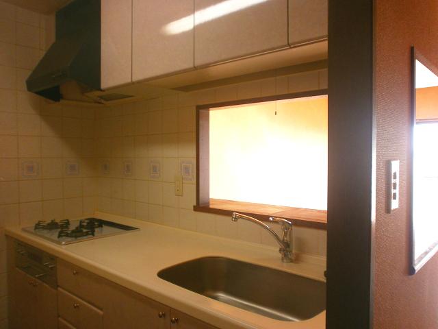 Kitchen. Indoor (11 May 2013) Shooting