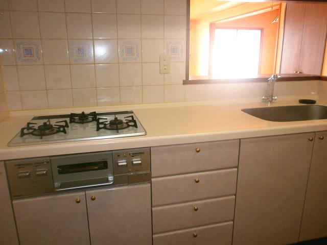 Kitchen. Indoor (11 May 2013) Shooting