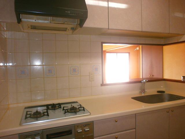 Kitchen. Indoor (11 May 2013) Shooting