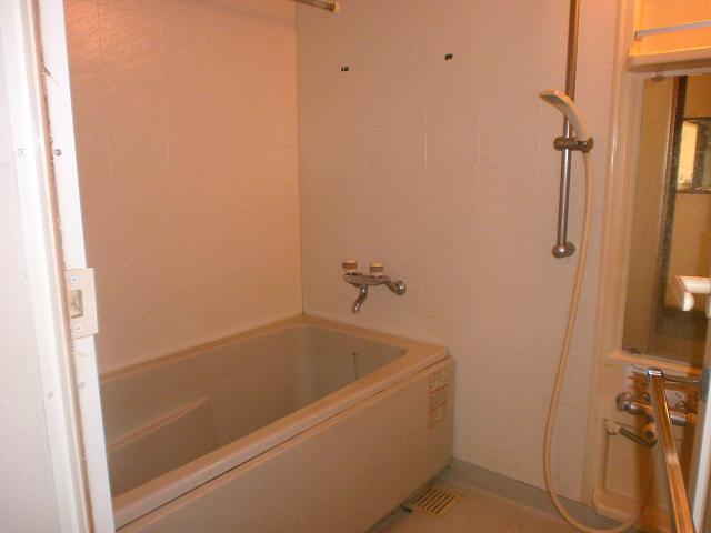 Bathroom. Indoor (11 May 2013) Shooting