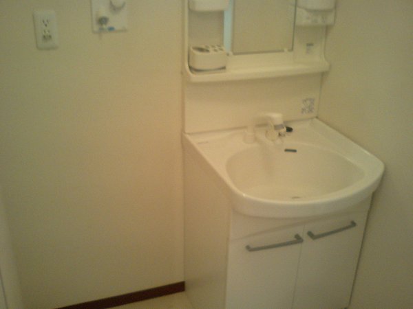 Washroom. Shampoo dresser