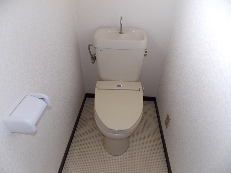 Toilet. Toilet