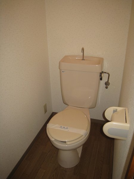 Toilet. Toilet