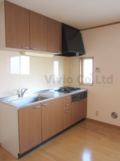 Kitchen. Gas stove fully equipped kitchen