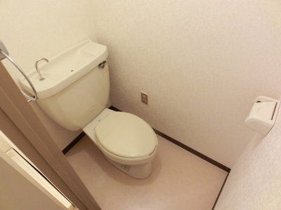 Toilet. Loose settled likely restroom