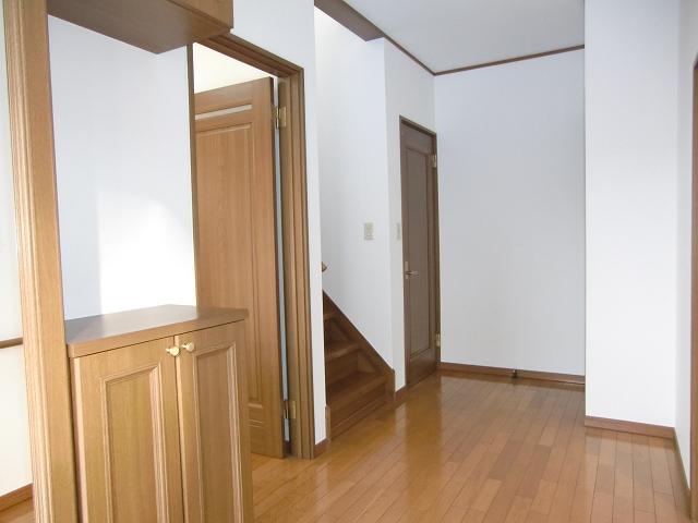 Other introspection. Entrance hall