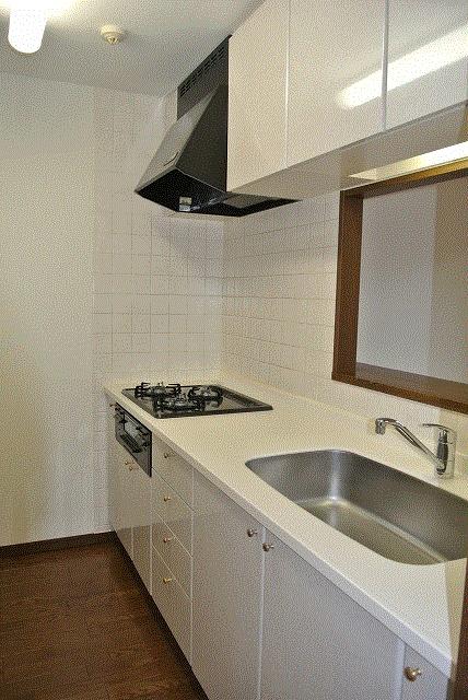 Kitchen. Popular face-to-face kitchen