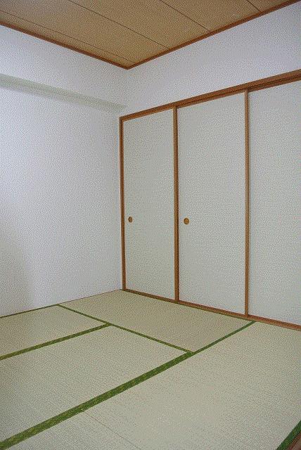 Non-living room. Closet that can be plenty of storage