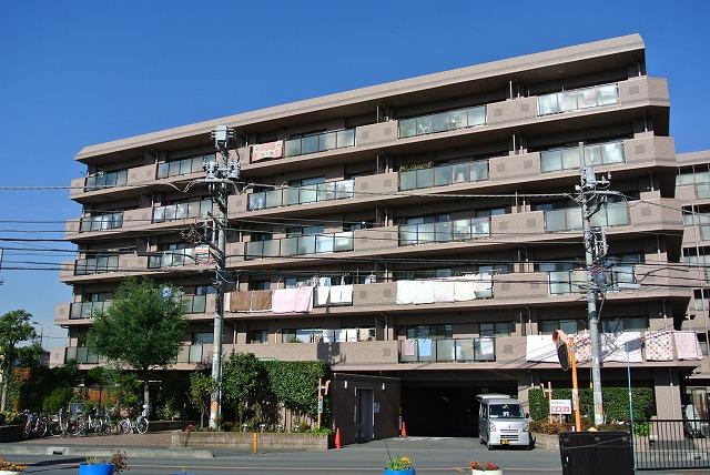 Local appearance photo. Local (11 May 2013) Shooting