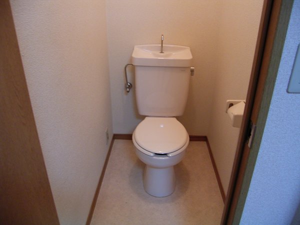 Toilet. Toilet