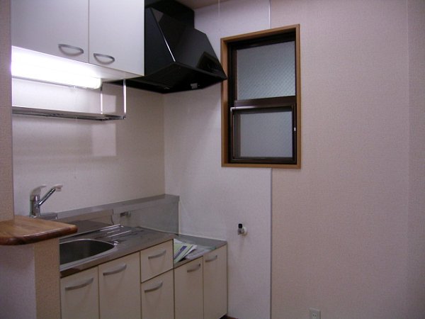 Kitchen. Two-burner gas stove installation Allowed