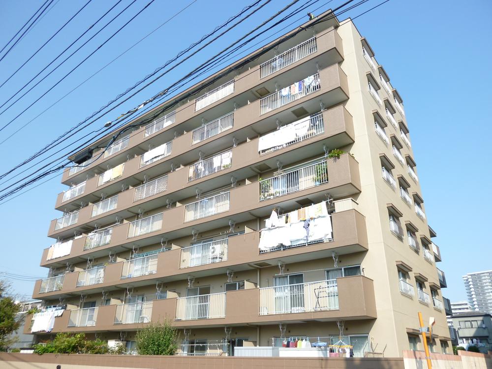 Local appearance photo. Local (11 May 2012) shooting