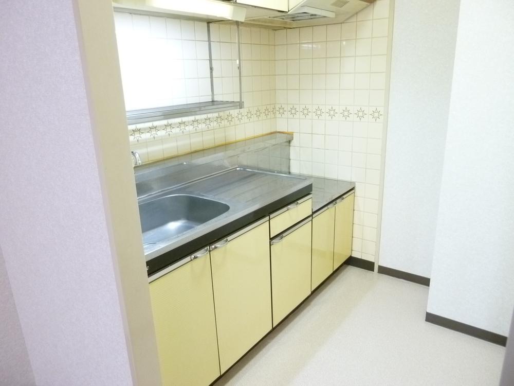 Kitchen. Indoor (11 May 2012) shooting