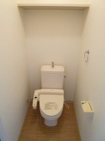 Toilet. Cleaning function with toilet seat