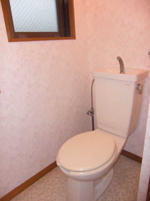 Toilet. It is nice to bright window with your toilet