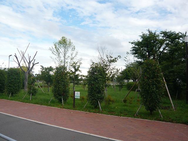 Other. Left Bank Square 20m from property