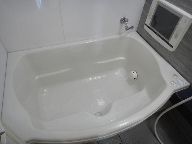 Bathroom. There is a step in the bathtub! It is something useful.