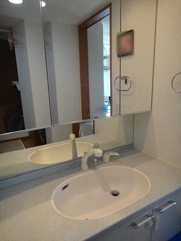 Wash basin, toilet. Vanity with shower! Storage also plenty that has become loose width!