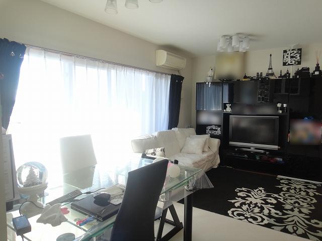 Other introspection. South-facing living room per yang good!