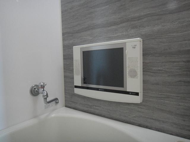 Other introspection. Bathroom is with TV