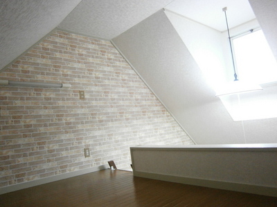 Living and room. There is a skylight is bright