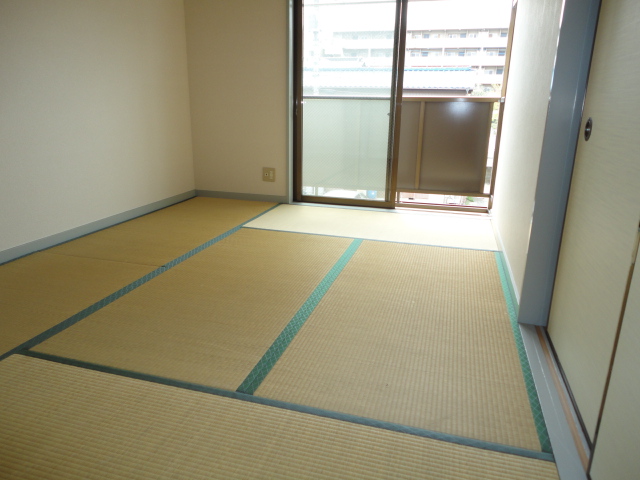 Other room space. Japanese style room