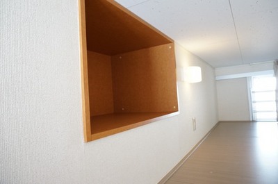 Living and room. Storage of loft