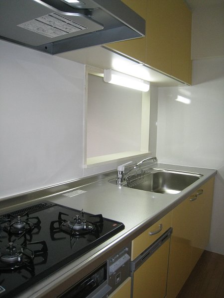 Kitchen. System kitchen dishwashing