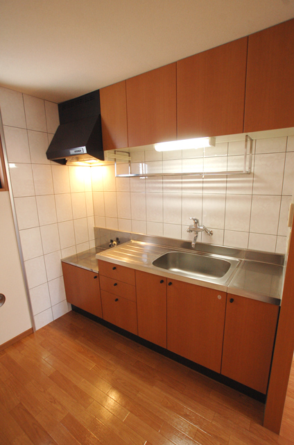 Kitchen. Stylish kitchen It Hakadori dishes a gas stove can be installed