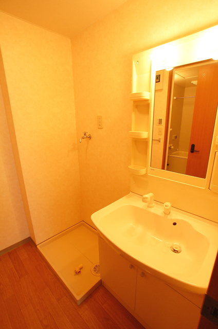 Washroom. Your laundry can also wash undressing room of room Comfortable with shampoo dresser