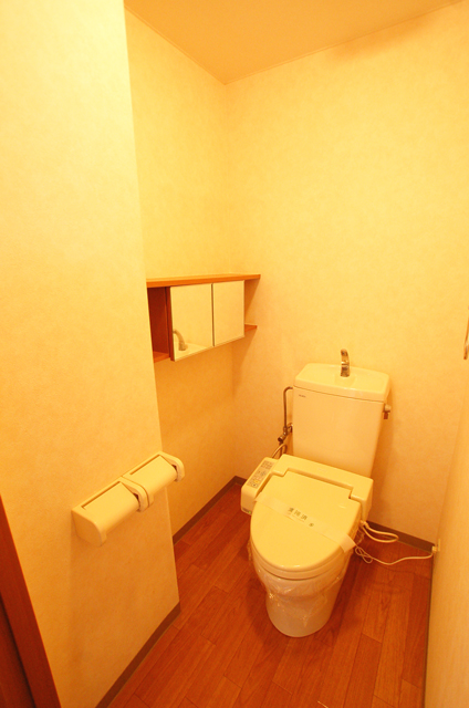 Toilet. Comfortable Washlet Warm toilet seat even in winter