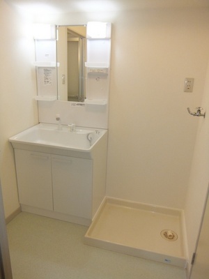 Washroom. Shampoo Dresser & Indoor Laundry Area