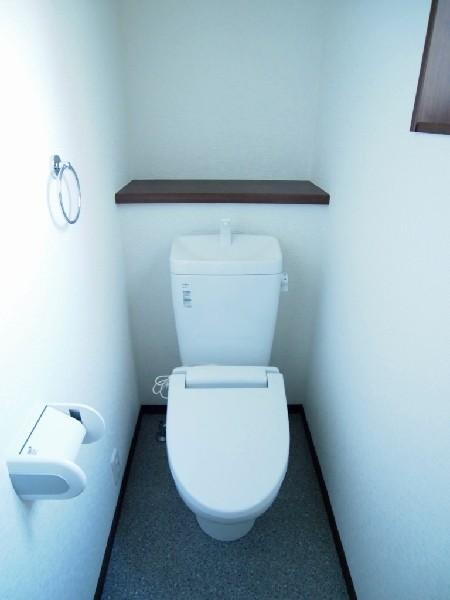 Toilet. Simple and clean some design. Rear space can also be used as a display shelf also as a storage. 