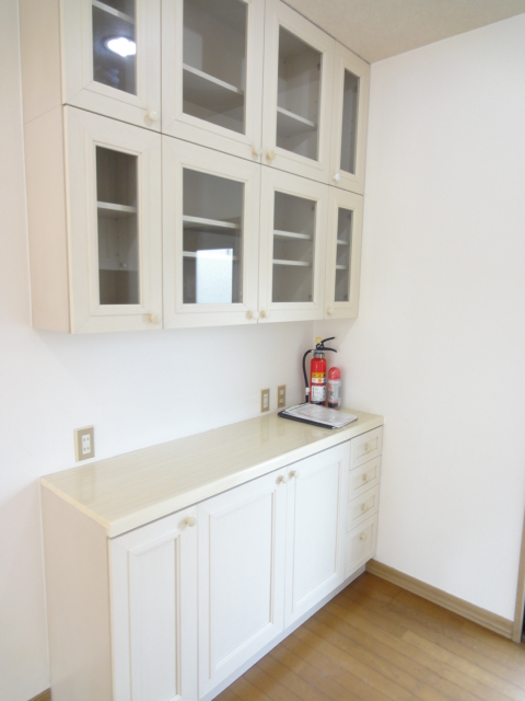 Kitchen. living Cupboard in the kitchen