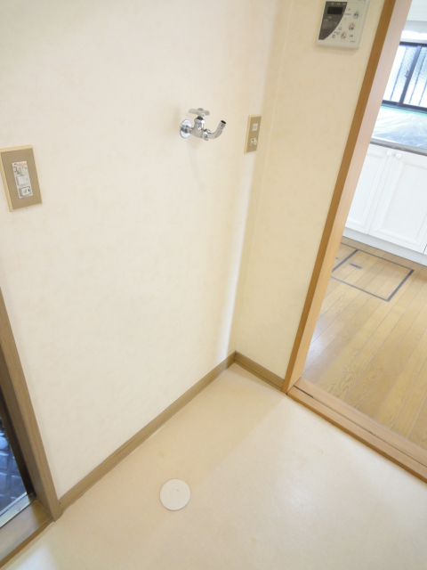 Washroom. Indoor Laundry Storage