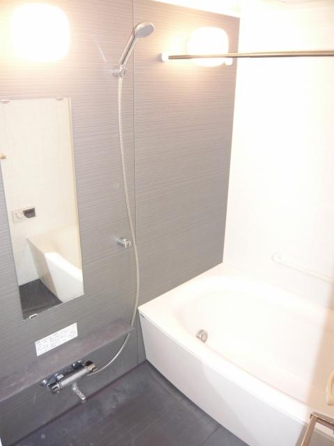 Bathroom. Indoor (January 2014) Shooting