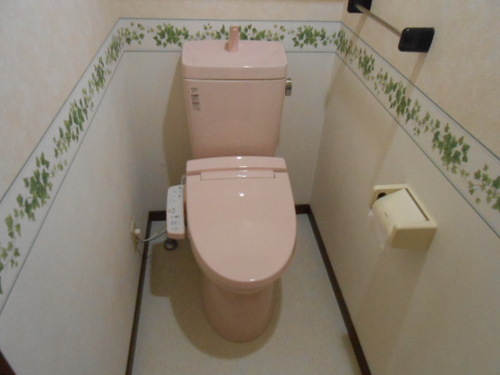 Toilet. Toilet