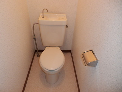 Toilet. Nor does it toilet wetted by another bus toilet