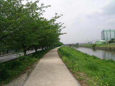 park. Ayase 800m until the green road walking path (park)