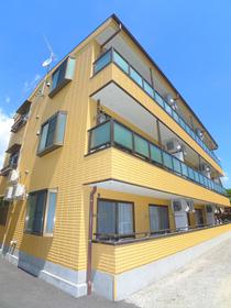 Building appearance
