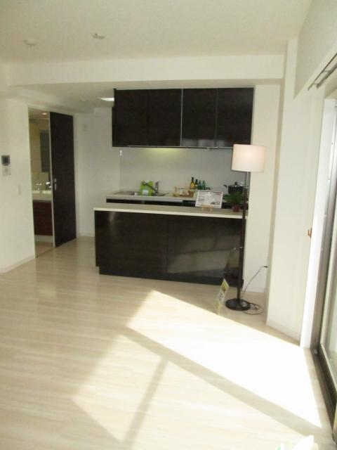 Living. Indoor (January 2014) Shooting