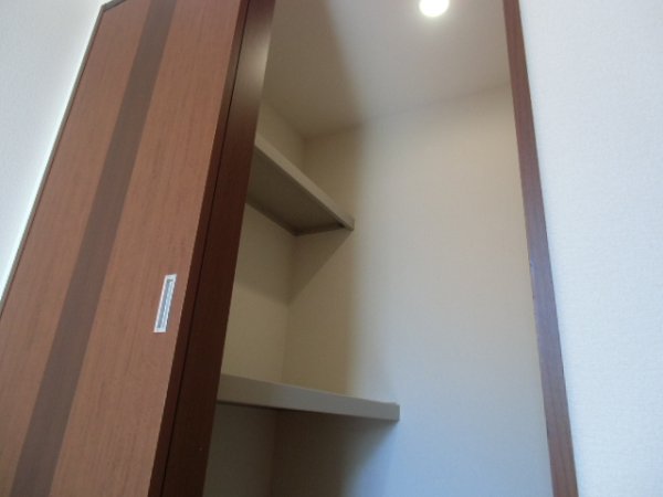 Receipt. Walk-in closet with a shelf and hanger pipe