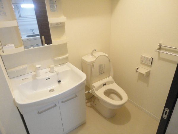 Toilet. Powder Room, Shampoo dresser