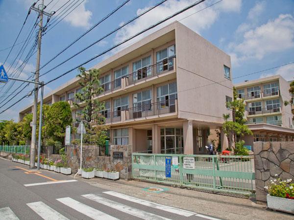 Primary school. Soka Tachibana Kuriminami to elementary school 540m
