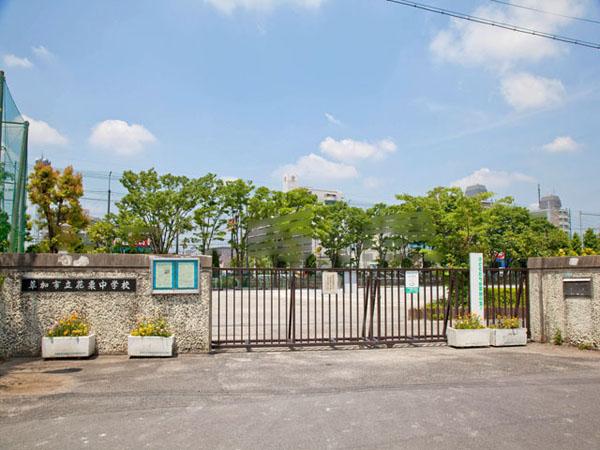 Junior high school. Soka Tachibana chestnut up to junior high school 990m