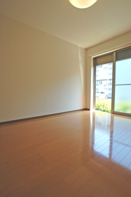 Living and room. Bright south-facing rooms ☆ It is a cozy space