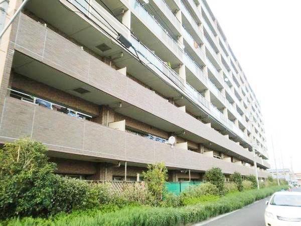 Other. Pet breeding Allowed