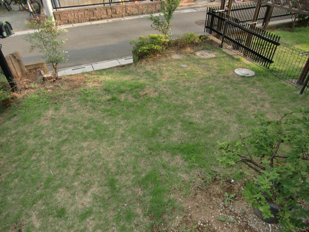 Garden. The south side of the garden (July 1, 2013) Shooting