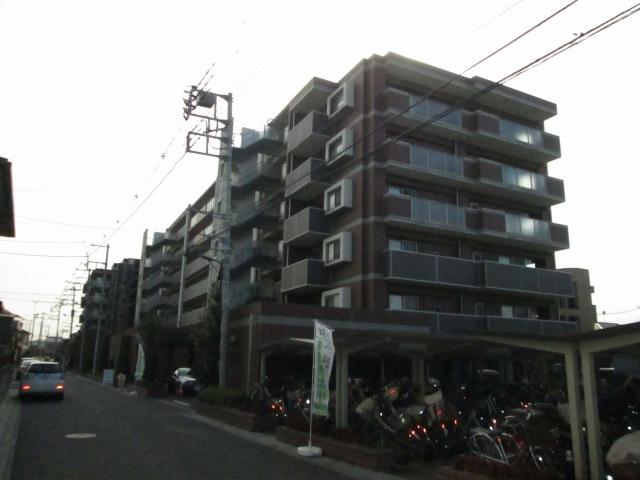 Other local. Local (January 2014) Shooting